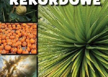 Michał Wójcik, Iwona Mróz – Poznaj… rośliny rekordowe