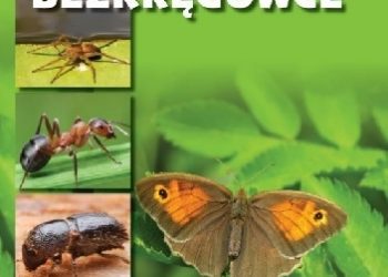 Praca zbiorowa – Poznaj… bezkręgowce