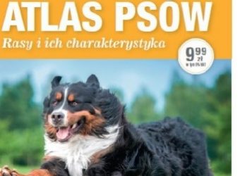 Paweł Zalewski – Atlas psów. Rasy i ich charakterystyka