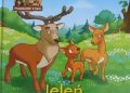 Praca zbiorowa – Jeleń