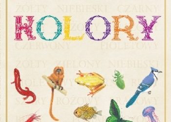 Praca zbiorowa – Zwierzęta. Kolory