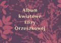 Eliza Orzeszkowa – Album kwiatowe Elizy Orzeszkowej