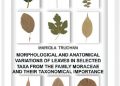 Mariola Truchan – Morphological and anatomical variations of leaves in selected taxa from the afmily moraceae and