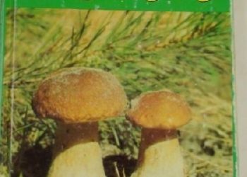 Alina Skirgiełło – Nasze grzyby