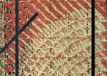 Anna Frąckiewicz – Spółdzielnia Artystów ŁAD 1926-1996