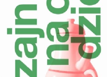 Donald Norman – Dizajn na co dzień