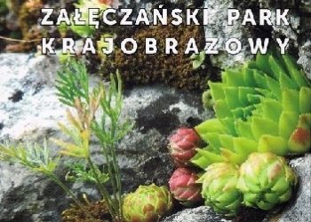 Krzysztof Gara – Załęczański Park Krajobrazowy. 40-lecie parku 1978-2018
