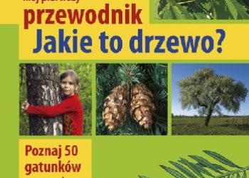 Tomasz Hryniewicki – Mój pierwszy przewodnik. Jakie to drzewo?