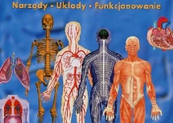 Praca zbiorowa – Ciało człowieka.