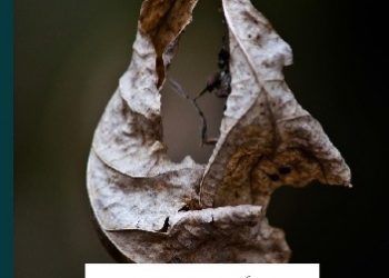 Zdzisław Leon Stroiński – O poległym