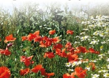 Kazimierz Dymek – Opowiadania z rogatywką …