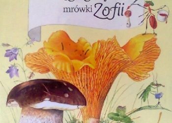 Stefan Casta – Księga grzybów mrówki Zofii