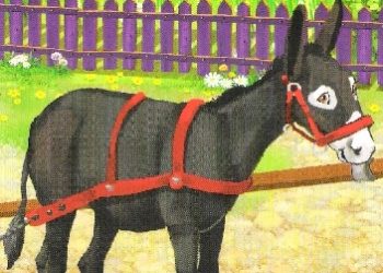 Katarzyna Campbell – Osiołek