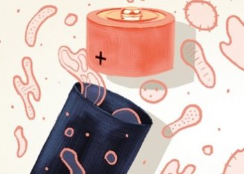 Margit Kossobudzka – Człowiek na ba(k)terie. Jak czerpać energię i zdrowie z jelit