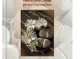 Piotr Dzieduszyński – Uprawa litopsów i innych żywych kamieni. Haw to Grow Lithops and Other Living Stone Plants