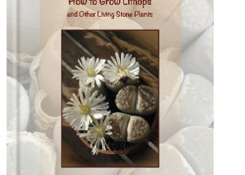 Piotr Dzieduszyński – Uprawa litopsów i innych żywych kamieni. Haw to Grow Lithops and Other Living Stone Plants