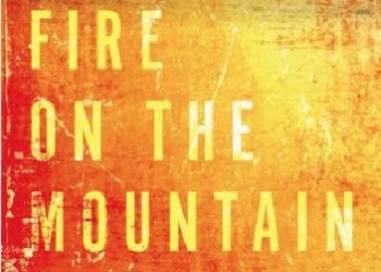 Jean McNeil – Fire on the Mountain