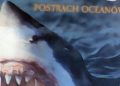 Redakcja DVD – Rekiny – postrach oceanów