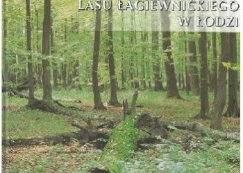 Szata roślinna Lasu Łagiewnickiego w Łodzi