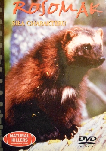 Redakcja DVD – Rosomak – siła charakteru