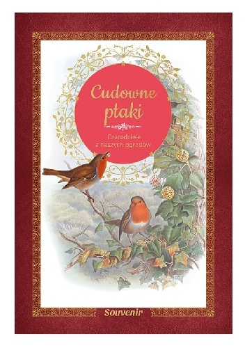 Guilhem Lesaffre – Cudowne ptaki. Czarodzieje z naszych ogrodów