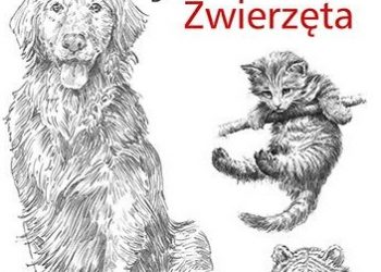 Praca zbiorowa – Sztuka rysowania Zwierzęta