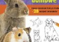 Robbin Cuddy – Jak rysować Zwierzęta domowe
