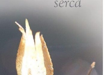 Helen Exley – Życzę Ci mądrości serca.