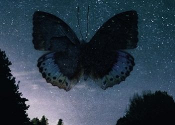 Ewa Cielesz – Ćma