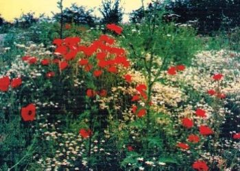 Grupa Przestrzeń Słowa – Krajobraz ze śmietnikiem