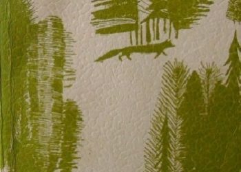 Teodor Goździkiewicz – Okruchy Przyrody