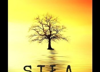 Jerzy Bandrowski – Siła serca