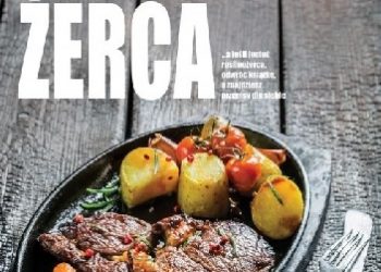 Praca zbiorowa – Roślinożerca / Mięsożerca