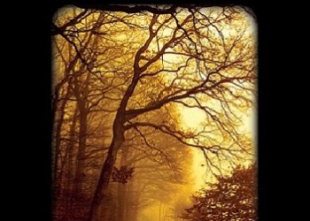 Marta Klubowicz – Odjazdy