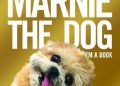 Shirley Braha – Marnie the Dog: I’m a Book