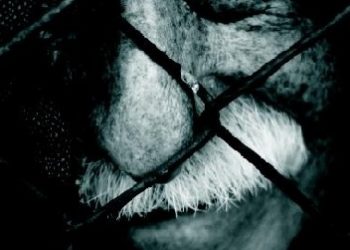 Tomasz Kulpa – Status polityczno-prawny uchodźcy w Polsce