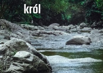 Józef Ignacy Kraszewski – Słomiany król