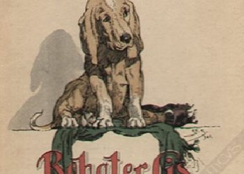 Kazimierz Rosinkiewicz – Bohater Cis: Historia psa