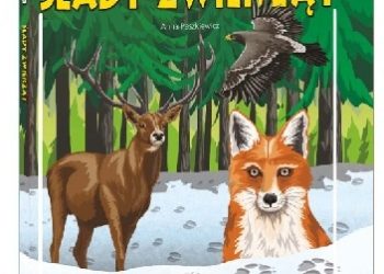 Anna Paszkiewicz – Ślady zwierząt