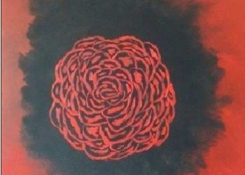 Maciej Arkadiusz Mikołajczyk – Szpital dla obłąkanych