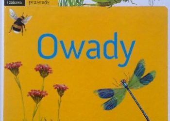 Robert Jacek Dzwonkowski – Owady