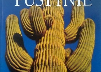 Marfe Ferguson Delano – Pustynie