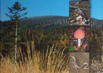 Grzegorz Tabasz – Przyroda Beskidu Sądeckiego