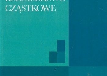 Lawrence C. Evans – Równania różniczkowe cząstkowe