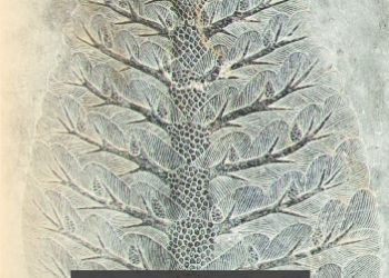 Andrzej Korczak – Olicza mądrości. Heraklit i Laozi