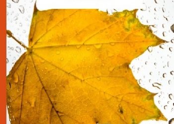 Cyprian Kamil Norwid – Bohater