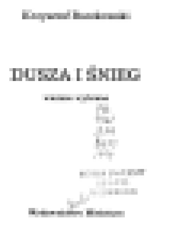 Krzysztof Boczkowski – Dusza i śnieg. Wiersze wybrane