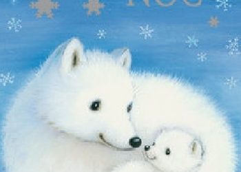 Praca zbiorowa – Śnieżna noc