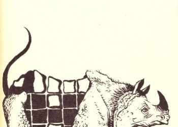 Andrzej K. Bogusławski – Brakujące ogniwo