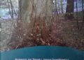 Grzegorz Jan Ślęzak, Janusz Szwałkiewicz – Grab, lipa, klon, wiąz. Wady, uszkodzenia, szkodniki, choroby, normy